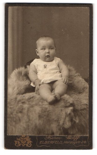 Photograph hermann wolff - photograph,