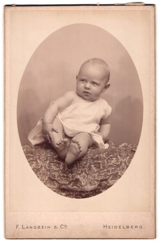 Photograph langbein co - f.,